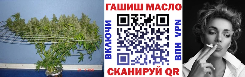 OMG вход  Ковылкино  Дистиллят ТГК THC oil 