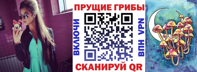 дарнет шоп  Ковылкино  Галлюциногенные грибы прущие грибы 